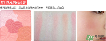 canmake花瓣腮紅珠光還是啞光好？canmake腮紅珠光好看還是啞光？
