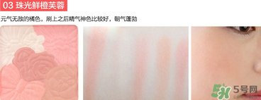 canmake花瓣腮紅珠光還是啞光好？canmake腮紅珠光好看還是啞光？