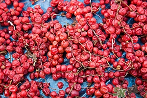 五味子茶韓國怎么喝？五味子茶的五種味道代表什么？