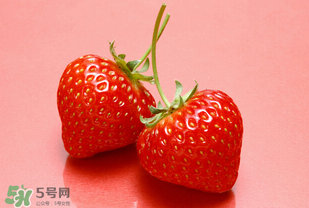 冬天有草莓嗎？冬天的草莓能吃嗎？