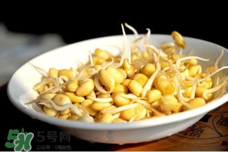 冬天可以發(fā)豆芽嗎？冬天怎樣發(fā)黃豆芽？