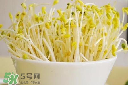 冬天可以發(fā)豆芽嗎？冬天怎樣發(fā)黃豆芽？