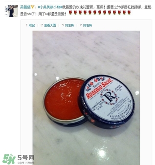 史密斯花蕾膏怎么用？史密斯花蕾膏使用方法
