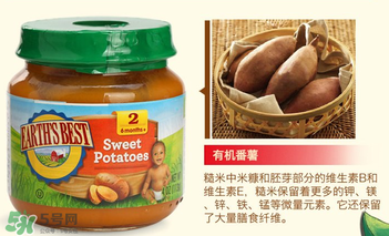 輔食泥哪個牌子好？輔食泥排行榜
