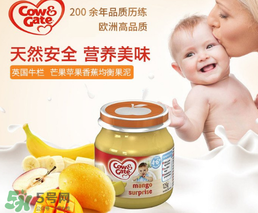 輔食泥哪個牌子好？輔食泥排行榜