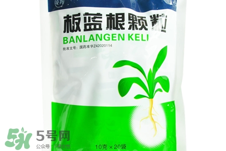 板藍(lán)根什么時候喝最好？板藍(lán)根一天中什么時間喝最好？