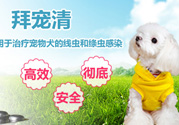 拜寵清要怎么喂？拜寵清驅(qū)蟲藥說明書