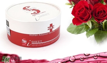 spa treatment是什么牌子？spa是什么檔次？