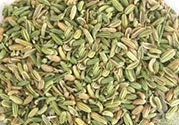 小茴香是孜然嗎？小茴香和孜然的區(qū)別