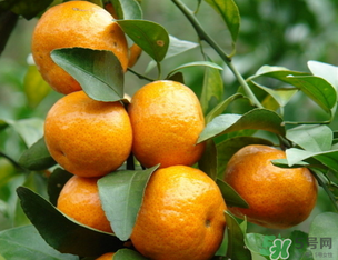 小橘子上火嗎？小橘子吃多了會上火嗎？