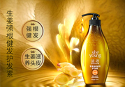 滋源洗發(fā)水怎么樣？滋源生姜洗發(fā)水怎么樣