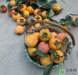 柿子長(zhǎng)白點(diǎn)還能吃嗎？柿子上有白點(diǎn)能吃嗎？