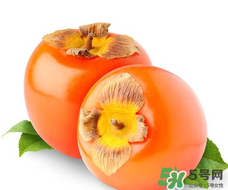 柿子籽能吃嗎？柿子籽的功效與作用