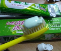 lion獅王是什么牌子？獅王是哪個國家的什么檔次？