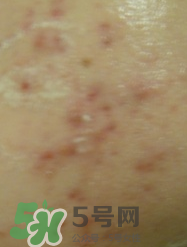 碧柔卸妝乳怎么用？碧柔卸妝乳使用方法