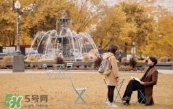 也許星星會(huì)帶走你的悲傷多少錢？也許星星會(huì)帶走你的悲傷價(jià)格