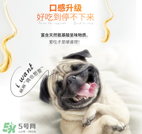 狗狗營(yíng)養(yǎng)膏什么牌子好？狗狗營(yíng)養(yǎng)膏多少錢(qián)？