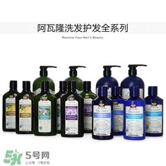洗發(fā)水什么牌子好？洗發(fā)水2017品牌排行榜
