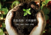 花肌粹護(hù)膚品怎么樣？花肌粹護(hù)膚品含激素嗎？