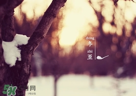 冬至要上墳嗎？冬至為什么要上墳？
