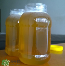 冬蜜好還是春蜜好？冬蜜和春蜜的區(qū)別
