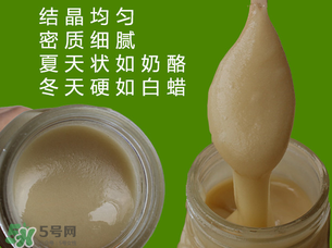 冬蜜是什么蜜？冬蜜的功效與作用