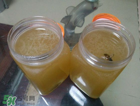 冬蜜多少錢一斤？冬蜜如何辨別真假？