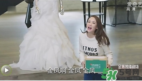 凡茜是什么牌子？凡茜是哪個國家的品牌什么檔次？