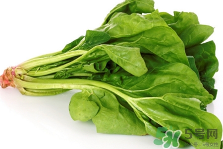吃菠菜能喝牛奶嗎？菠菜和牛奶能一起吃嗎？