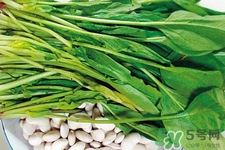 菠菜熱量高嗎？菠菜吃多了會(huì)發(fā)胖嗎？