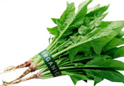 吃菠菜力氣會(huì)變大嗎？多吃菠菜既有力氣又能瘦