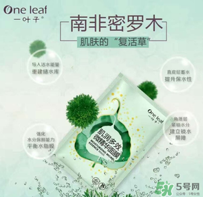 一葉子是哪個(gè)國家的？一葉子面膜是哪個(gè)國家的？