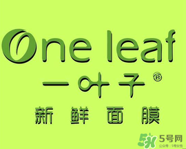一葉子面膜會(huì)過敏嗎？一葉子面膜會(huì)不會(huì)過敏？