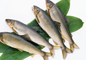 咽喉炎可以吃魚嗎？咽喉炎吃魚有什么好處？
