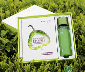 一葉子面膜怎么用？一葉子面膜使用方法