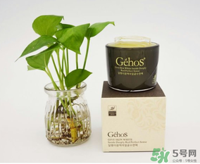 姬存希是哪個(gè)國(guó)家的？姬存希是哪里產(chǎn)的？