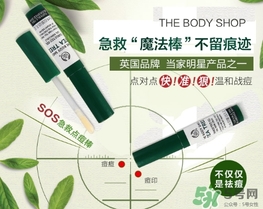 the body shop茶樹急救棒怎么用？美體小鋪茶樹祛痘急救棒用法