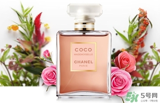 香奈兒黑coco香水和白coco香水哪個好？香奈兒黑可可和白可可選擇