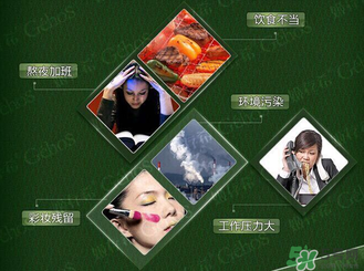 姬存希黃瓜膠多少錢？姬存希黃瓜膠價格