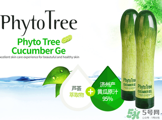 姬存希黃瓜膠多少錢？姬存希黃瓜膠價格