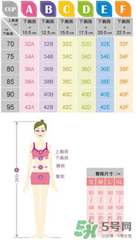 都市麗人內衣怎么樣？都市麗人尺碼表