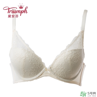 黛安芬內(nèi)衣怎么樣？黛安芬內(nèi)衣價(jià)格圖片