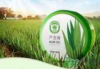 雅麗潔蘆薈膠多少錢(qián)？雅麗潔蘆薈膠好不好？
