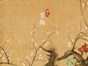 臘八節(jié)出生的女寶寶怎么取名？臘八節(jié)出生的男寶寶怎么取名？
