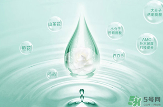 一葉子水光霜怎么用？一葉子水光霜使用方法