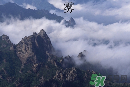 霧霾天吃什么菜清肺？霧霾天白色食物最清肺