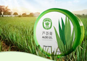 雅麗潔蘆薈膠多少錢？雅麗潔蘆薈膠好不好？