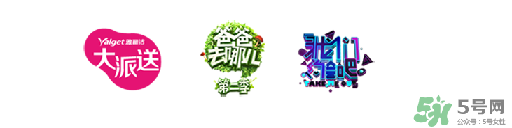 雅麗潔這個牌子怎么樣？雅麗潔是哪國的牌子