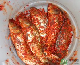 腌魚放多少鹽？腌魚放鹽的比例