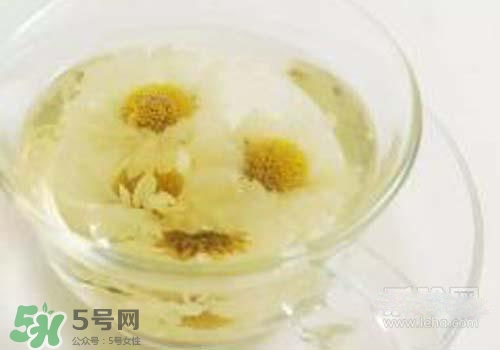 菊花茶什么時(shí)候喝最好？菊花茶什么季節(jié)喝最好？
